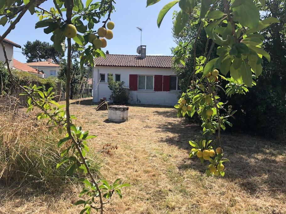 Сasa de vacaciones Maison A 500 Metres De La *
